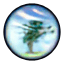 weather icon